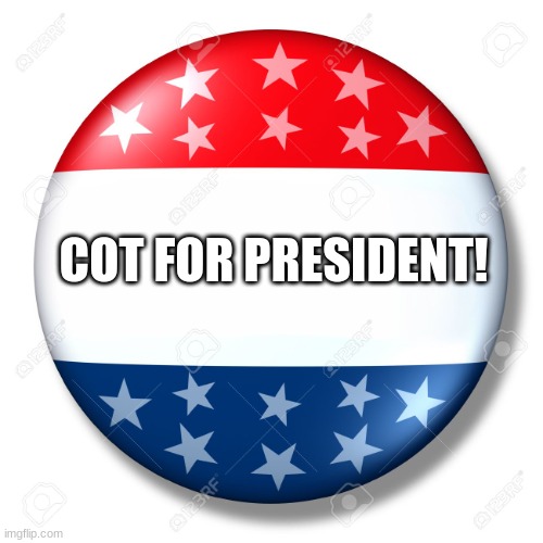 COT | COT FOR PRESIDENT! | image tagged in blank for president,cot,memes,funny,lol,president | made w/ Imgflip meme maker