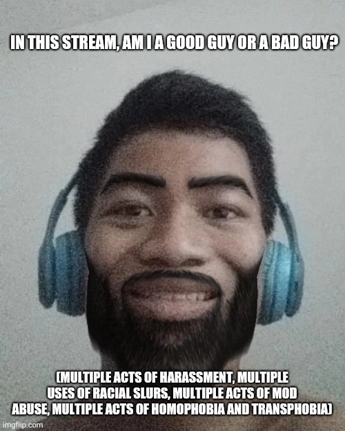 Ñ | IN THIS STREAM, AM I A GOOD GUY OR A BAD GUY? (MULTIPLE ACTS OF HARASSMENT, MULTIPLE USES OF RACIAL SLURS, MULTIPLE ACTS OF MOD ABUSE, MULTIPLE ACTS OF HOMOPHOBIA AND TRANSPHOBIA) | made w/ Imgflip meme maker