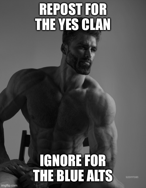 Giga Chad | REPOST FOR THE YES CLAN; IGNORE FOR THE BLUE ALTS | image tagged in giga chad | made w/ Imgflip meme maker
