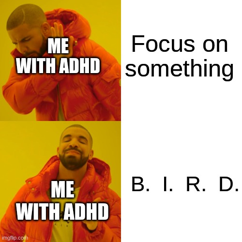 Lol | Focus on something; ME WITH ADHD; B.  I.  R.  D. ME WITH ADHD | image tagged in memes,drake hotline bling | made w/ Imgflip meme maker