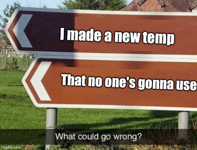 What could go wrong | I made a new temp; That no one's gonna use | image tagged in what could go wrong | made w/ Imgflip meme maker