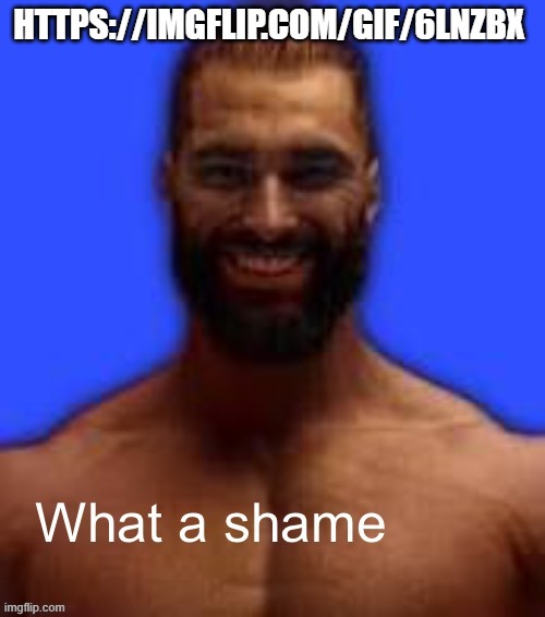https://imgflip.com/gif/6lnzbx | HTTPS://IMGFLIP.COM/GIF/6LNZBX | image tagged in what a shame | made w/ Imgflip meme maker