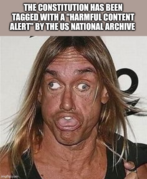 THE CONSTITUTION HAS BEEN TAGGED WITH A "HARMFUL CONTENT ALERT" BY THE US NATIONAL ARCHIVE | image tagged in funny memes | made w/ Imgflip meme maker