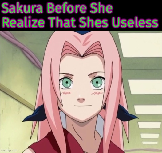 Sakura Before She Knew That She Is Useless | Sakura Before She Realize That Shes Useless | image tagged in useless sakura | made w/ Imgflip meme maker