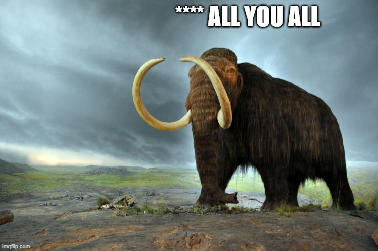 wooly mammoth | **** ALL YOU ALL | image tagged in wooly mammoth | made w/ Imgflip meme maker