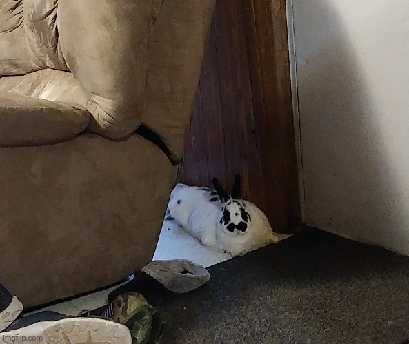 she lives among us . | made w/ Imgflip meme maker