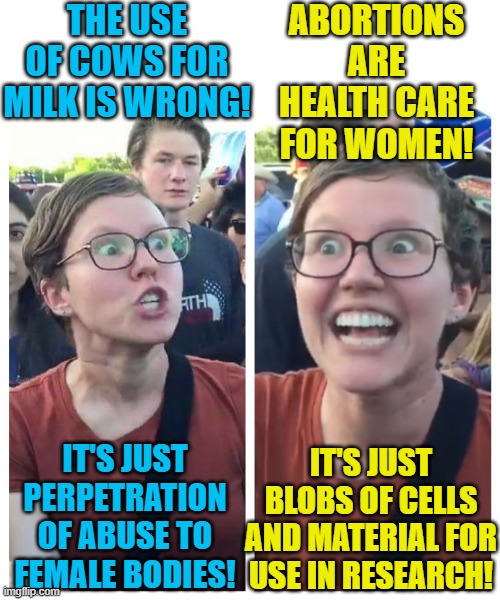What business has ever had to shut down after losing just 3% of their business? | THE USE OF COWS FOR MILK IS WRONG! ABORTIONS ARE HEALTH CARE FOR WOMEN! IT'S JUST BLOBS OF CELLS AND MATERIAL FOR USE IN RESEARCH! IT'S JUST PERPETRATION OF ABUSE TO FEMALE BODIES! | image tagged in social justice warrior hypocrisy,political meme,abortion,liberal logic,feminism | made w/ Imgflip meme maker