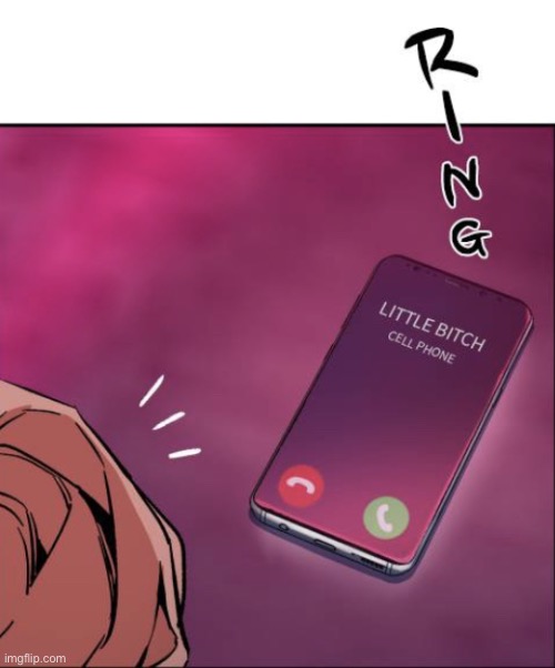 Answer the phone | image tagged in little bitch phone call | made w/ Imgflip meme maker