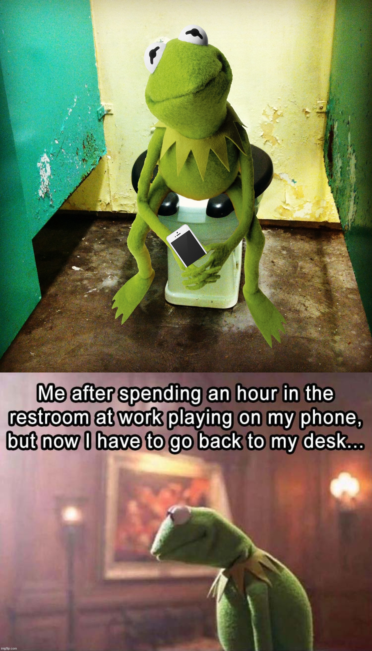 Image tagged in kermit public toilet - Imgflip