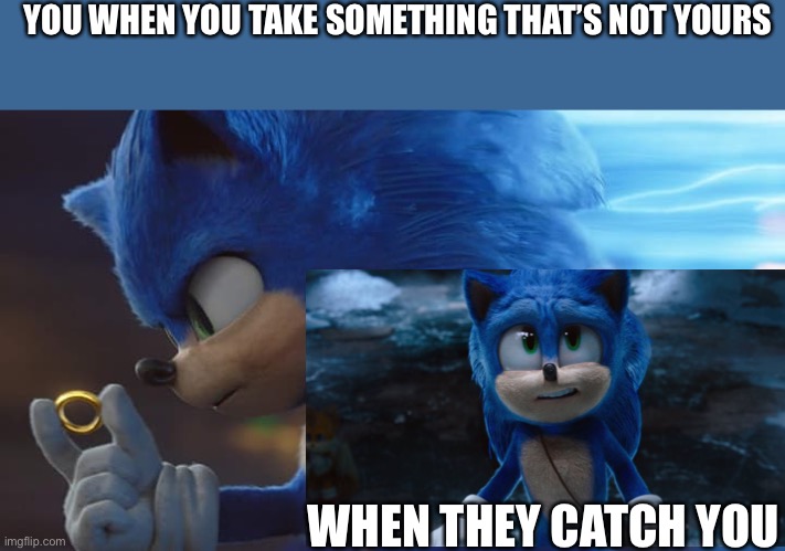 True | YOU WHEN YOU TAKE SOMETHING THAT’S NOT YOURS; WHEN THEY CATCH YOU | image tagged in sonic the hedgehog | made w/ Imgflip meme maker