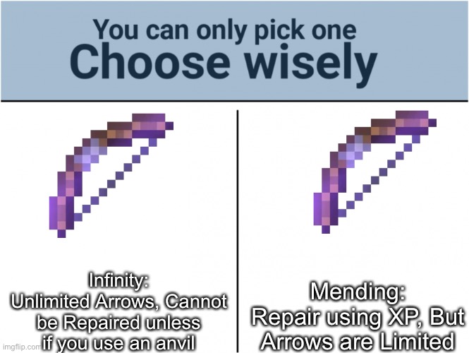 2 Bow Enchantments | Mending:
Repair using XP, But Arrows are Limited; Infinity:
Unlimited Arrows, Cannot be Repaired unless if you use an anvil | image tagged in you can pick only one choose wisely,minecraft,minecraft memes,gaming,memes | made w/ Imgflip meme maker