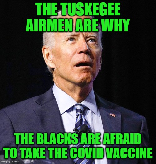 Joe Biden | THE TUSKEGEE AIRMEN ARE WHY THE BLACKS ARE AFRAID TO TAKE THE COVID VACCINE | image tagged in joe biden | made w/ Imgflip meme maker