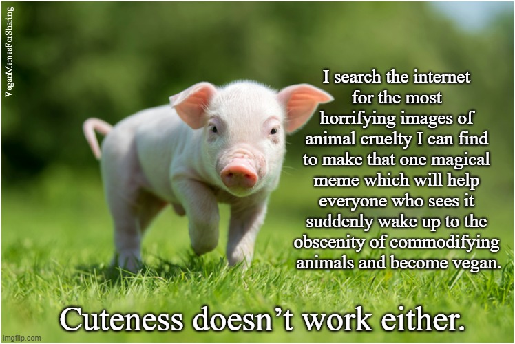 Commodifying Animals | VeganMemesForSharing; I search the internet
for the most horrifying images of
animal cruelty I can find to make that one magical meme which will help everyone who sees it suddenly wake up to the
obscenity of commodifying  animals and become vegan. Cuteness doesn’t work either. | image tagged in vegan,hamburger,farming,chicken,bacon,milk | made w/ Imgflip meme maker