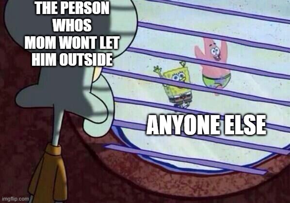 Nobody | THE PERSON WHOS MOM WONT LET HIM OUTSIDE; ANYONE ELSE | image tagged in squidward window | made w/ Imgflip meme maker