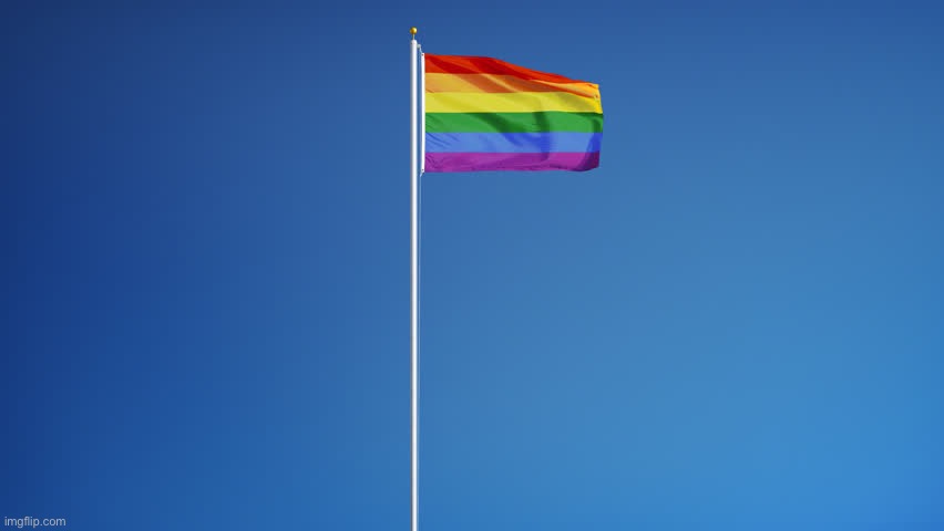 LGBTQ Flag | image tagged in lgbtq flag | made w/ Imgflip meme maker