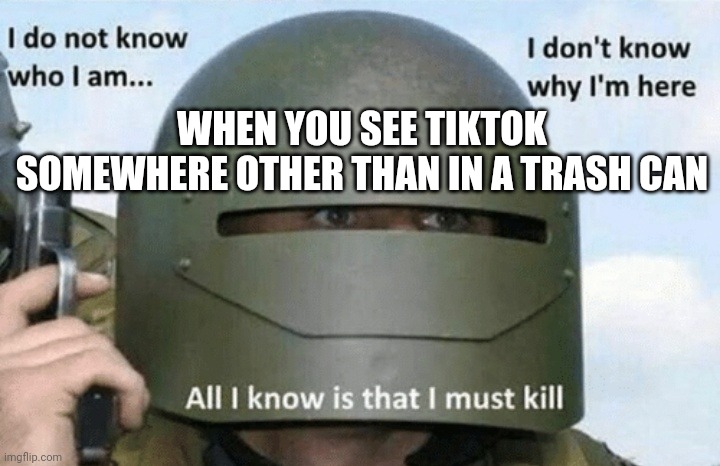 Tik tok can no longer survive | WHEN YOU SEE TIKTOK SOMEWHERE OTHER THAN IN A TRASH CAN | image tagged in i don't know who i am i don't know why i'm here why i'm here,tiktok | made w/ Imgflip meme maker