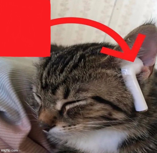 Cat Listening to Music Blank Meme Template