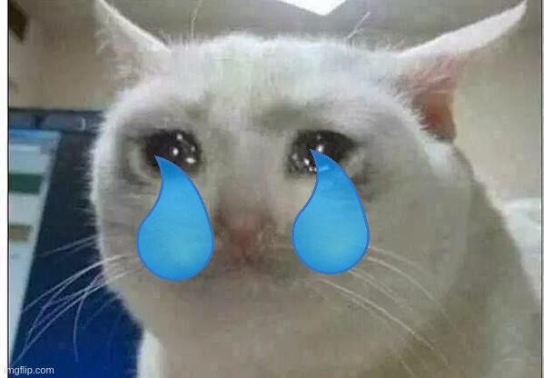 crying cat | image tagged in crying cat | made w/ Imgflip meme maker