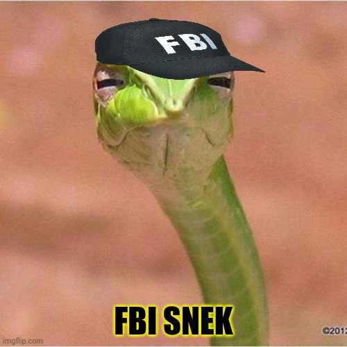 Snek | FBI SNEK | image tagged in snek blank,why is the fbi here | made w/ Imgflip meme maker