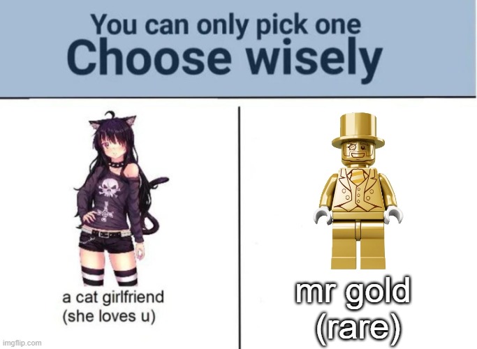 i choose mr gold |  mr gold 
(rare) | image tagged in choose wisely,lego,choose your fighter,gold | made w/ Imgflip meme maker