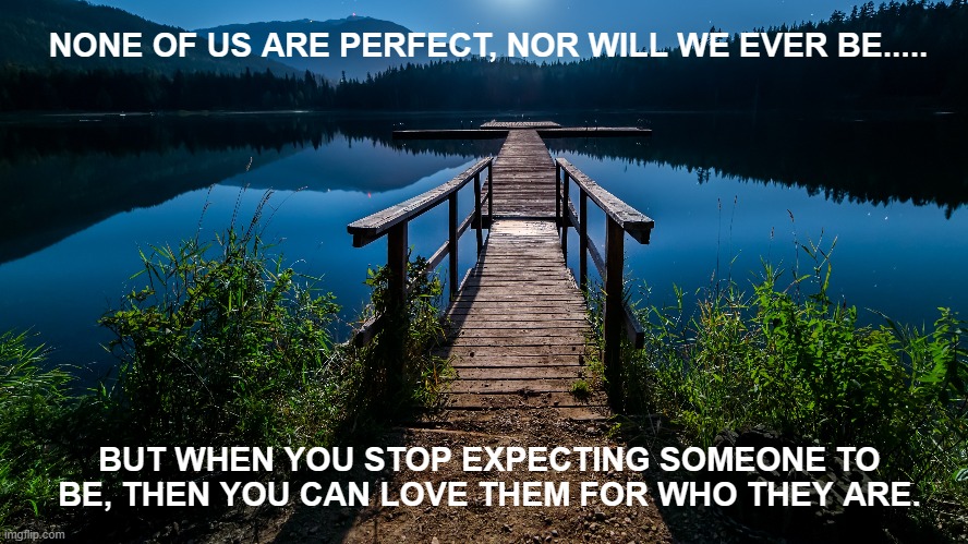 PERFECT | NONE OF US ARE PERFECT, NOR WILL WE EVER BE..... BUT WHEN YOU STOP EXPECTING SOMEONE TO BE, THEN YOU CAN LOVE THEM FOR WHO THEY ARE. | image tagged in words of wisdom | made w/ Imgflip meme maker