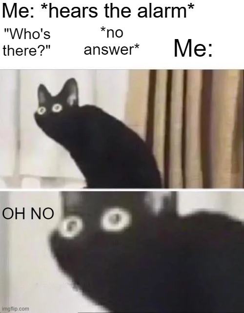 *Intense Sweating* |  Me: *hears the alarm*; *no answer*; "Who's there?"; Me:; OH NO | image tagged in oh no black cat,memes,alarm,criminals,scary | made w/ Imgflip meme maker
