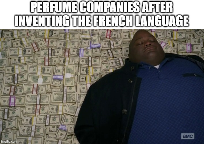 cwasont | PERFUME COMPANIES AFTER INVENTING THE FRENCH LANGUAGE | image tagged in guy sleeping on pile of money | made w/ Imgflip meme maker