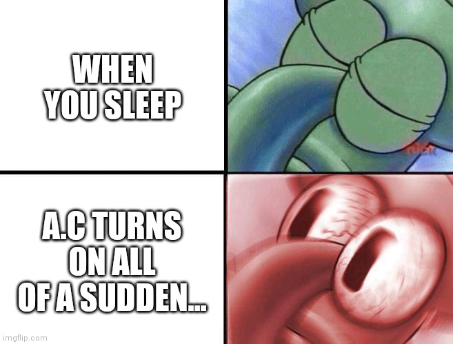 sleeping Squidward | WHEN YOU SLEEP; A.C TURNS ON ALL OF A SUDDEN... | image tagged in sleeping squidward | made w/ Imgflip meme maker
