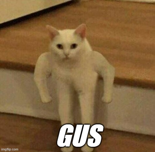 gus | GUS | image tagged in gus | made w/ Imgflip meme maker