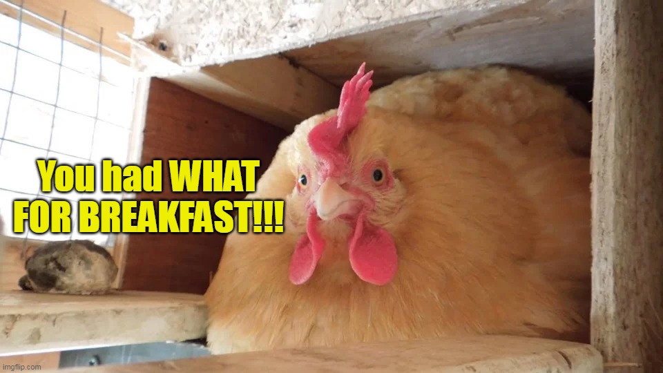 One Unhappy Camper | You had WHAT FOR BREAKFAST!!! | image tagged in meme,memes,humor | made w/ Imgflip meme maker