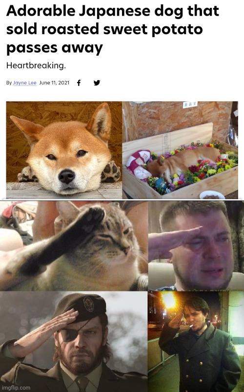 Salute to a fallen angle o7 | image tagged in ozon's salute,salute,sad,cry,dog | made w/ Imgflip meme maker