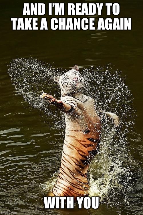 Fabulous Tiger Imgflip