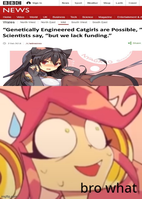 Regarding Genetically-Engineered Catgirls: : r/Animemes