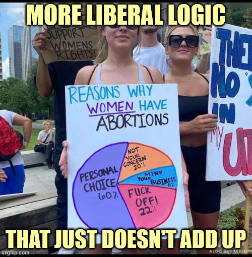 Math is hard | MORE LIBERAL LOGIC; THAT JUST DOESN'T ADD UP | image tagged in liberal,math,math lady/confused lady | made w/ Imgflip meme maker