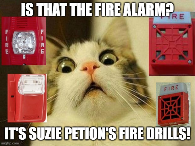 Cat is TERRIFIED of Suzie Petion's Sass fire drills! | IS THAT THE FIRE ALARM? IT'S SUZIE PETION'S FIRE DRILLS! | image tagged in memes,scared cat,anxiety cat | made w/ Imgflip meme maker