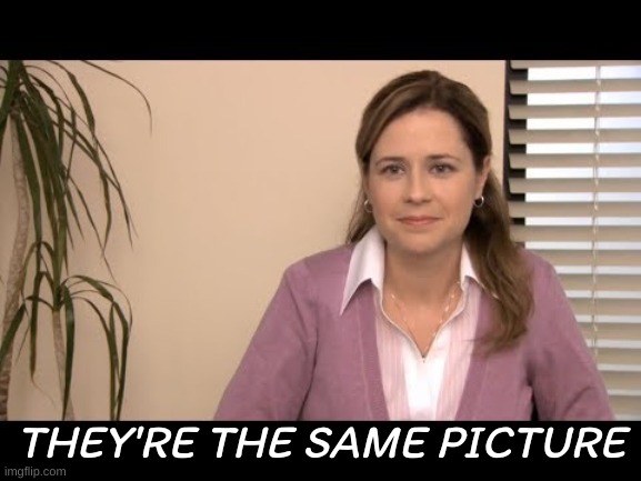 They're the same picture | THEY'RE THE SAME PICTURE | image tagged in they're the same picture | made w/ Imgflip meme maker