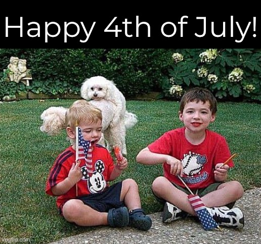 Have a Wonderful Holiday Dog On It! | Happy 4th of July! | image tagged in funny memes,4th of july | made w/ Imgflip meme maker