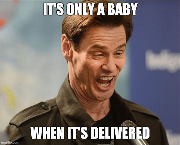 DOOFUS | IT'S ONLY A BABY WHEN IT'S DELIVERED | image tagged in doofus | made w/ Imgflip meme maker