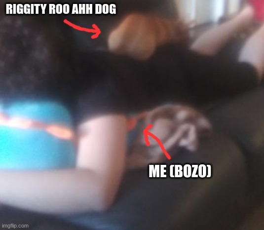 WHY DOES THE DOG LOOK LIKE THAT | RIGGITY ROO AHH DOG; ME (BOZO) | made w/ Imgflip meme maker