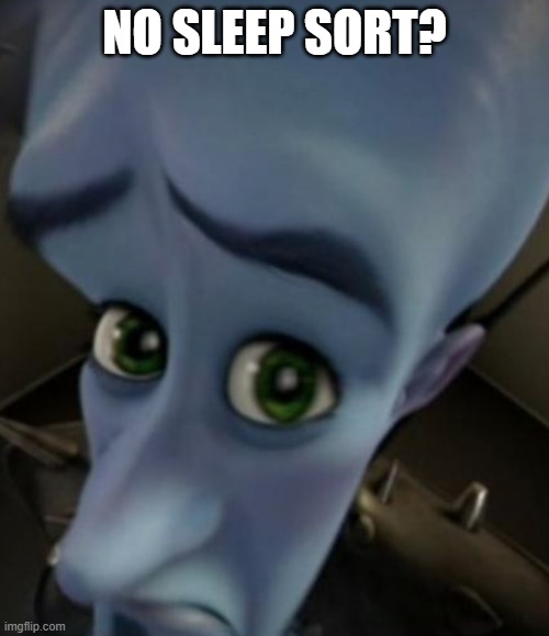 Sad Megamind | NO SLEEP SORT? | image tagged in sad megamind | made w/ Imgflip meme maker