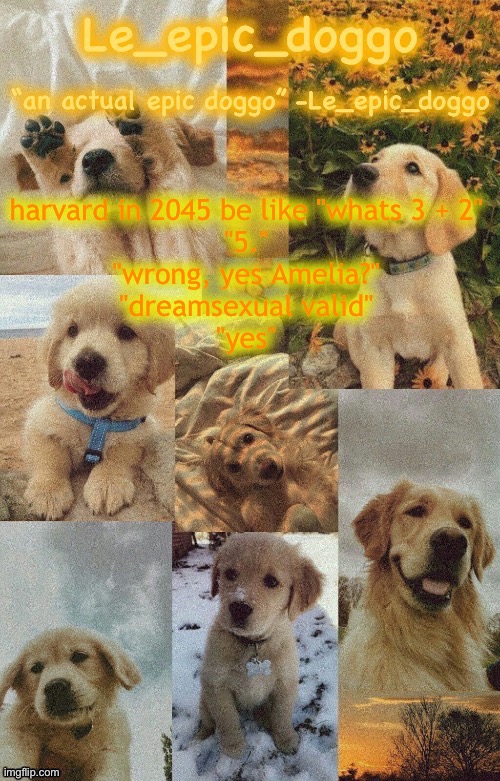 Doggo temp by doggo. Wait what that’s confusing | harvard in 2045 be like "whats 3 + 2"
"5."
"wrong, yes Amelia?"
"dreamsexual valid"
"yes" | image tagged in doggo temp by doggo wait what that s confusing | made w/ Imgflip meme maker