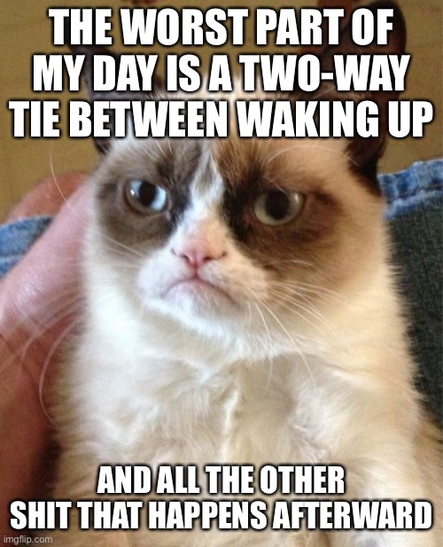 I hate my life | THE WORST PART OF MY DAY IS A TWO-WAY TIE BETWEEN WAKING UP; AND ALL THE OTHER SHIT THAT HAPPENS AFTERWARD | image tagged in memes,grumpy cat | made w/ Imgflip meme maker