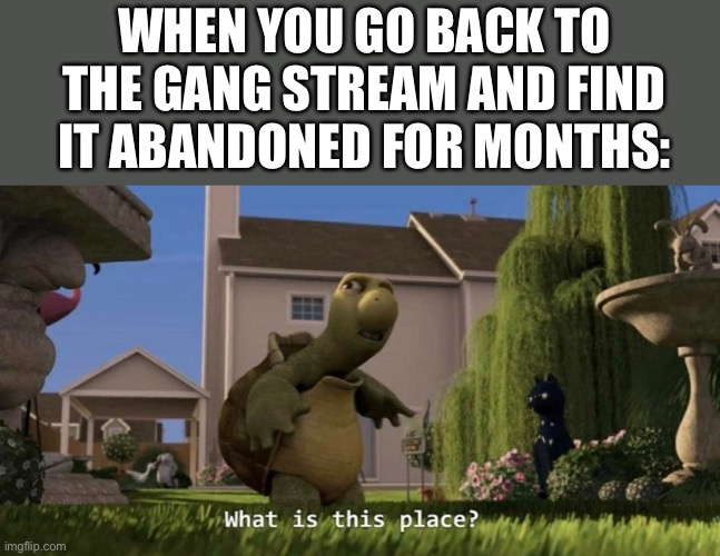 What is this place | WHEN YOU GO BACK TO THE GANG STREAM AND FIND IT ABANDONED FOR MONTHS: | image tagged in what is this place | made w/ Imgflip meme maker