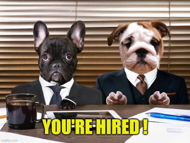 You're Hired | YOU'RE HIRED ! | image tagged in job interview | made w/ Imgflip meme maker