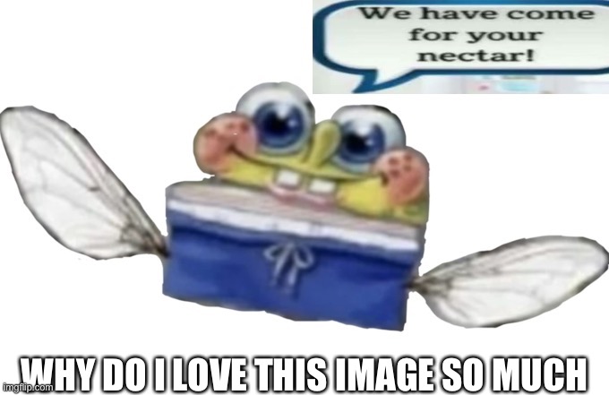 SpongeBob nectar | WHY DO I LOVE THIS IMAGE SO MUCH | image tagged in spongebob nectar | made w/ Imgflip meme maker