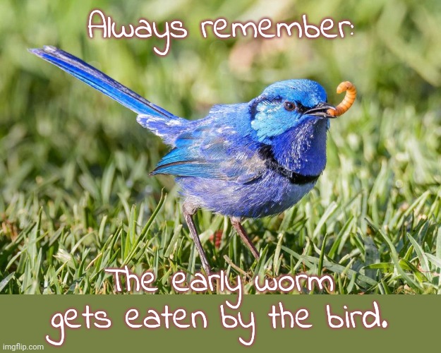 Don't be in such a hurry. |  Always remember:; The early worm gets eaten by the bird. | image tagged in early bird gets the,demotivationals,carnivores,feeding,predator | made w/ Imgflip meme maker