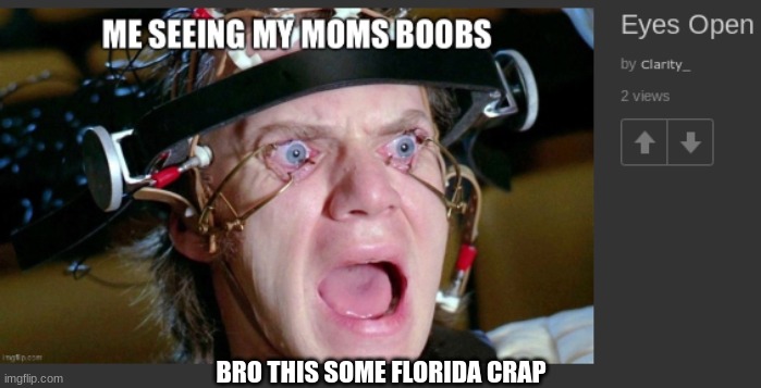 BRO THIS SOME FLORIDA CRAP | made w/ Imgflip meme maker
