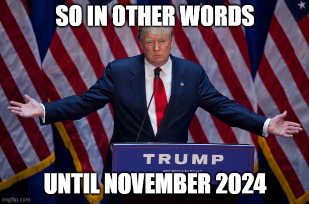 Donald Trump | SO IN OTHER WORDS UNTIL NOVEMBER 2024 | image tagged in donald trump | made w/ Imgflip meme maker