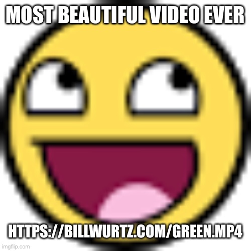 Epic face | MOST BEAUTIFUL VIDEO EVER; HTTPS://BILLWURTZ.COM/GREEN.MP4 | image tagged in epic face | made w/ Imgflip meme maker