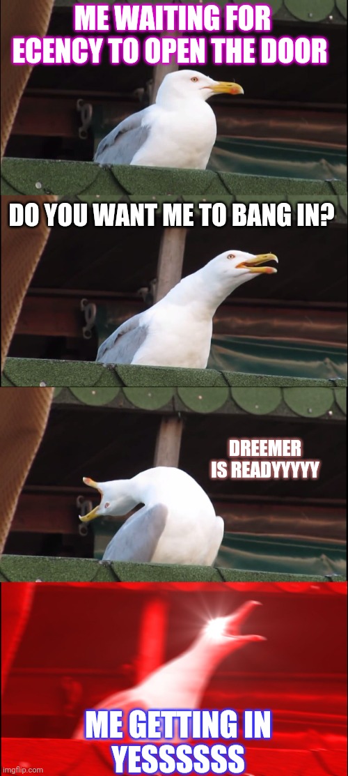 Inhaling Seagull Meme |  ME WAITING FOR ECENCY TO OPEN THE DOOR; DO YOU WANT ME TO BANG IN? DREEMER IS READYYYYY; ME GETTING IN

YESSSSSS | image tagged in memes,inhaling seagull | made w/ Imgflip meme maker